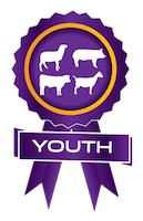 Youth-Beef-Cattle