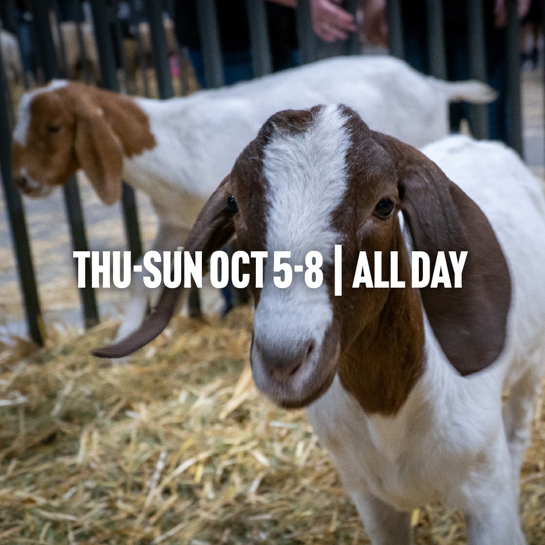 goat show dates