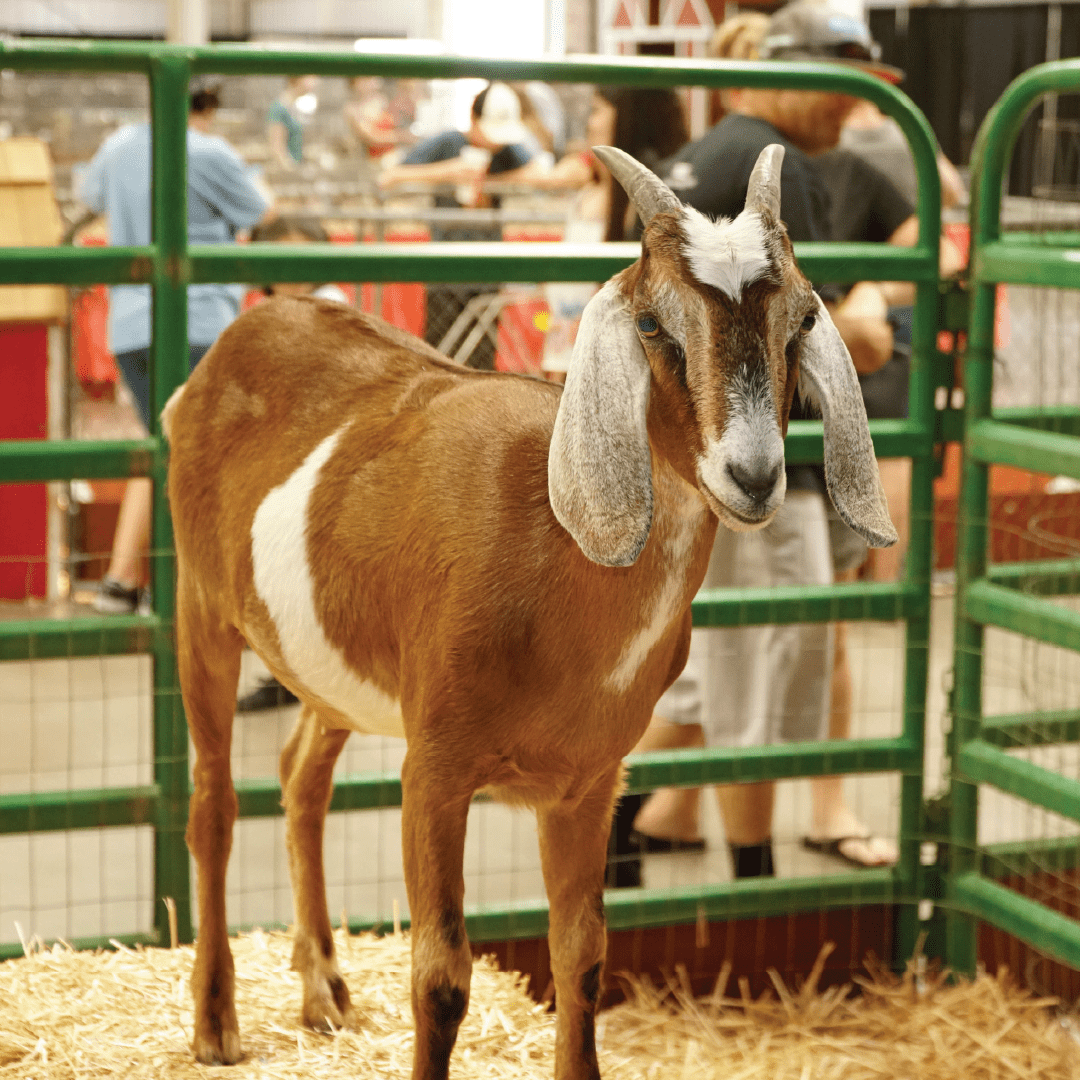 ft_kerrs farm tours
