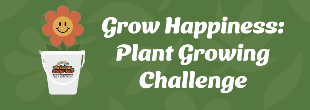 Featured image for post: 🌱 Grow Happiness – Plant Growing Challenge 🌱
