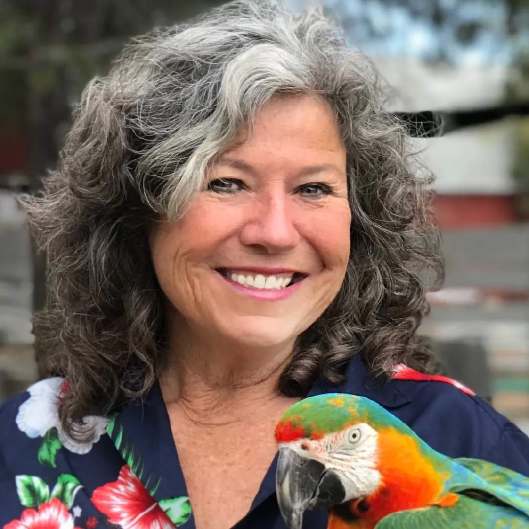 squawk talk