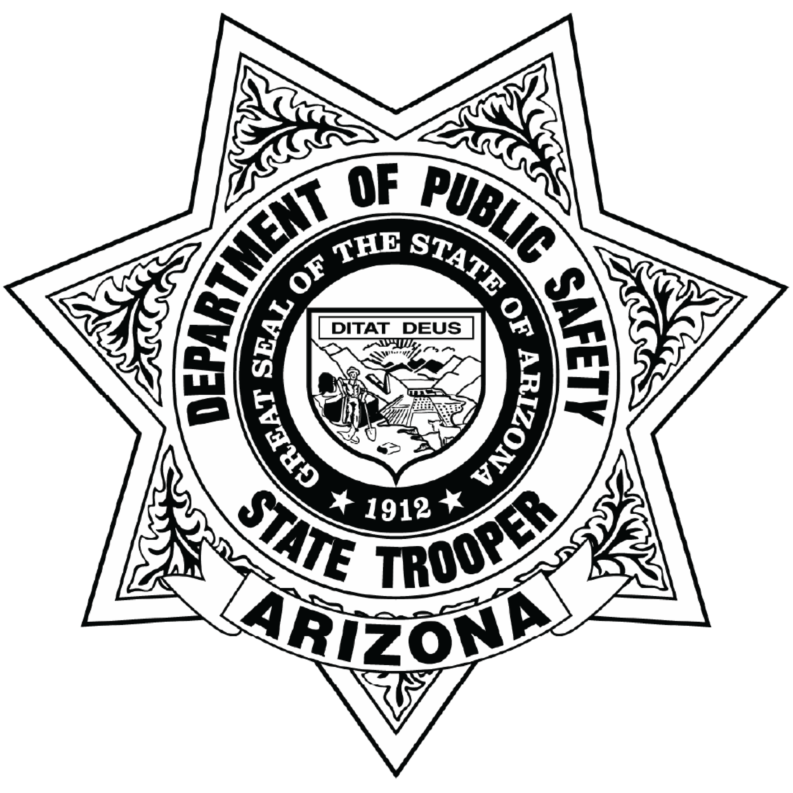DPS Logo